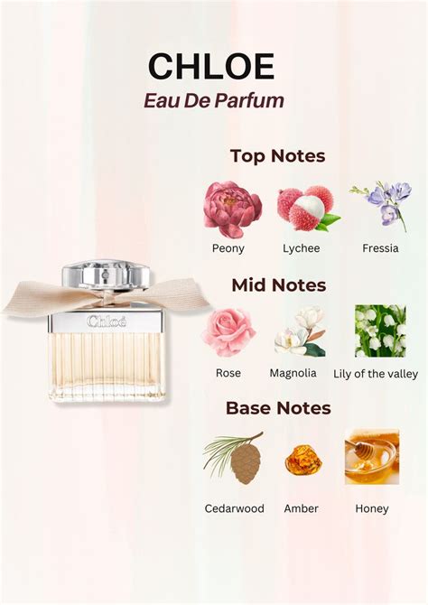 chloe notes|chloe notes perfume.